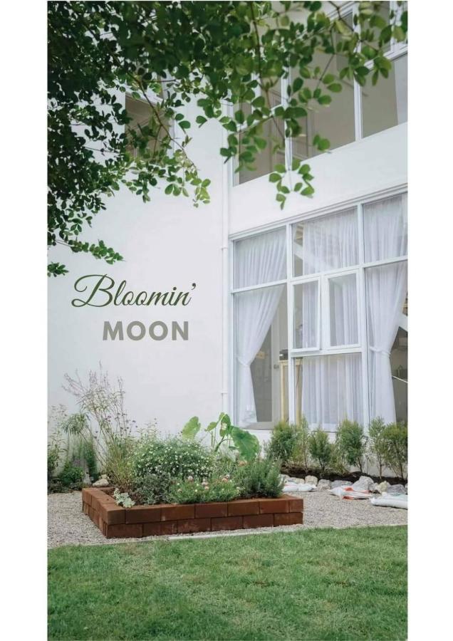 Bloomin' Moon Hostel & Cafe, Chiang Mai Old Town Eksteriør billede